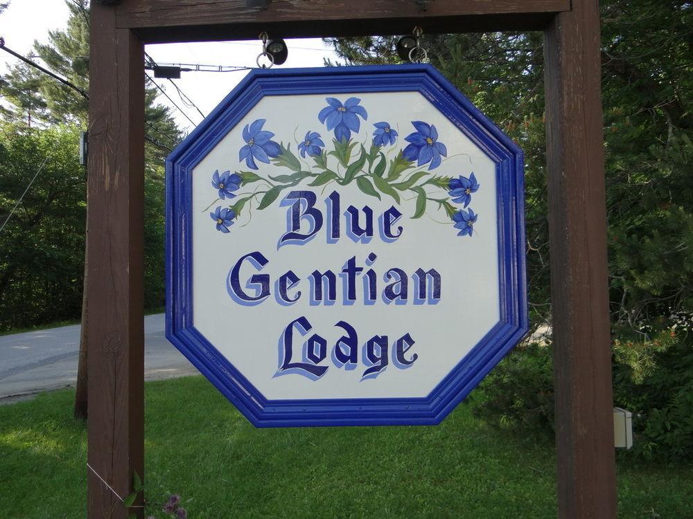 Blue Gentian Lodge At Magic Mountain Londonderry Ngoại thất bức ảnh