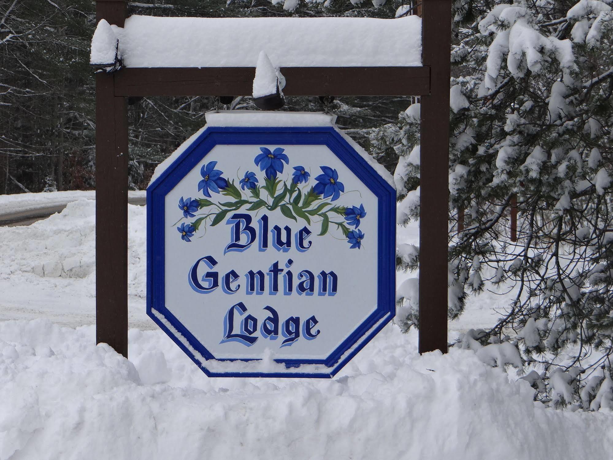 Blue Gentian Lodge At Magic Mountain Londonderry Ngoại thất bức ảnh