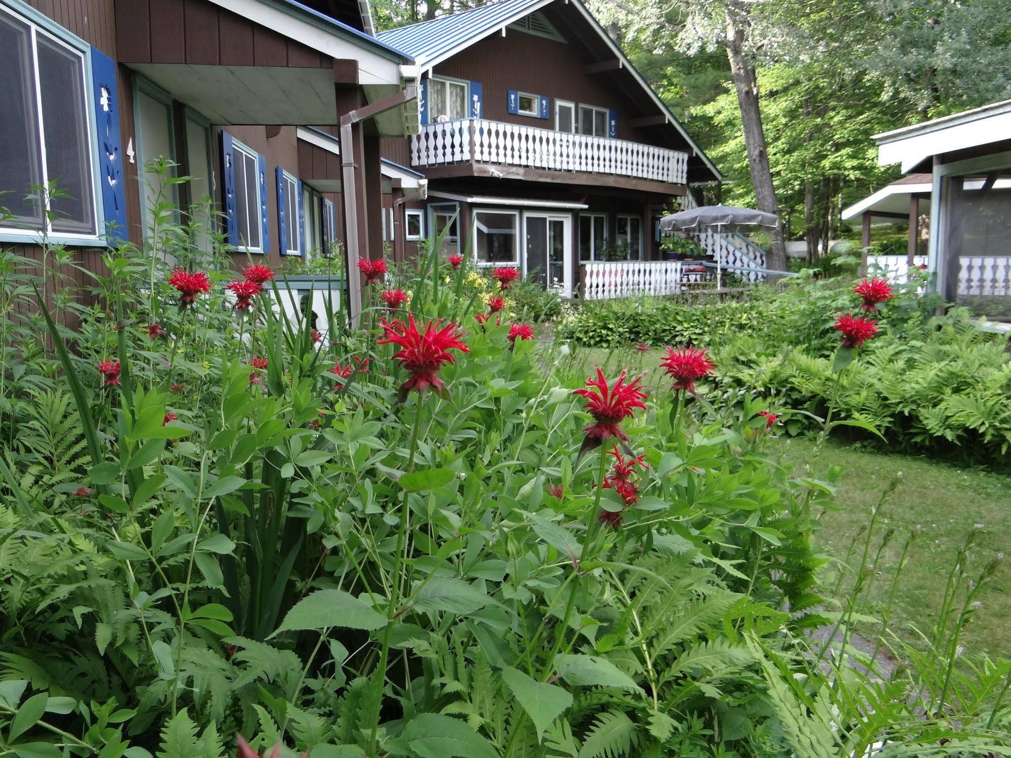 Blue Gentian Lodge At Magic Mountain Londonderry Ngoại thất bức ảnh